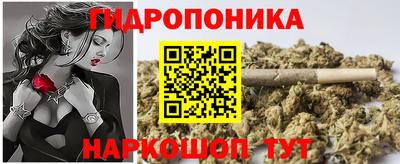прущие крисы Новодвинск
