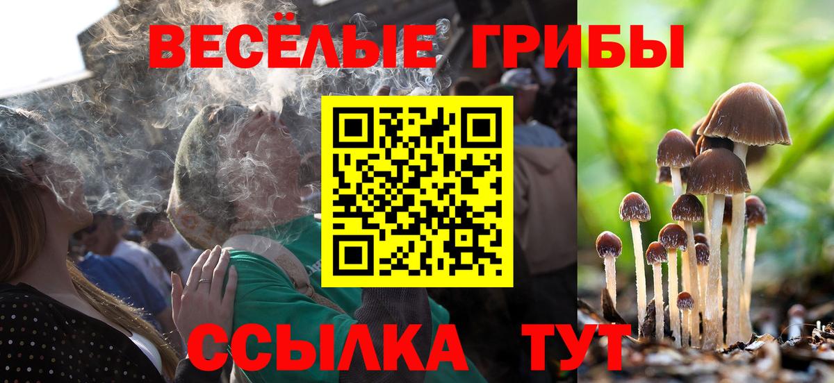 Галлюциногенные грибы мицелий Урай